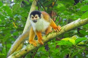 Rancho Piro: tour fotográfico guiado na vida selvagem