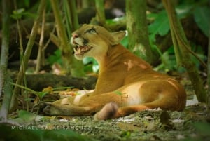 Rancho Piro: tour fotográfico guiado na vida selvagem
