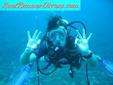 Reef Runner Divers