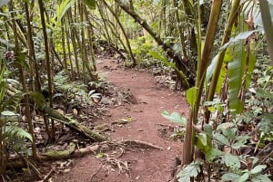 Wellness Park Entrance