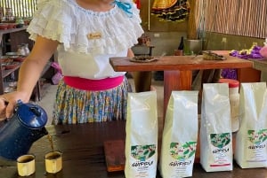 Rincón de la Vieja: Passe de um dia Eco Aventura 12 em 1