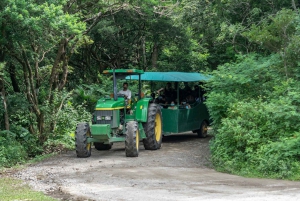 Rincón de la Vieja: Passe de um dia Eco Aventura 12 em 1