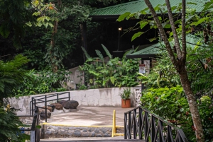 Rincón de la Vieja: Passe de um dia Eco Aventura 12 em 1