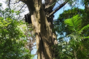 Rincón de la Vieja: Extreme Canopy Tour