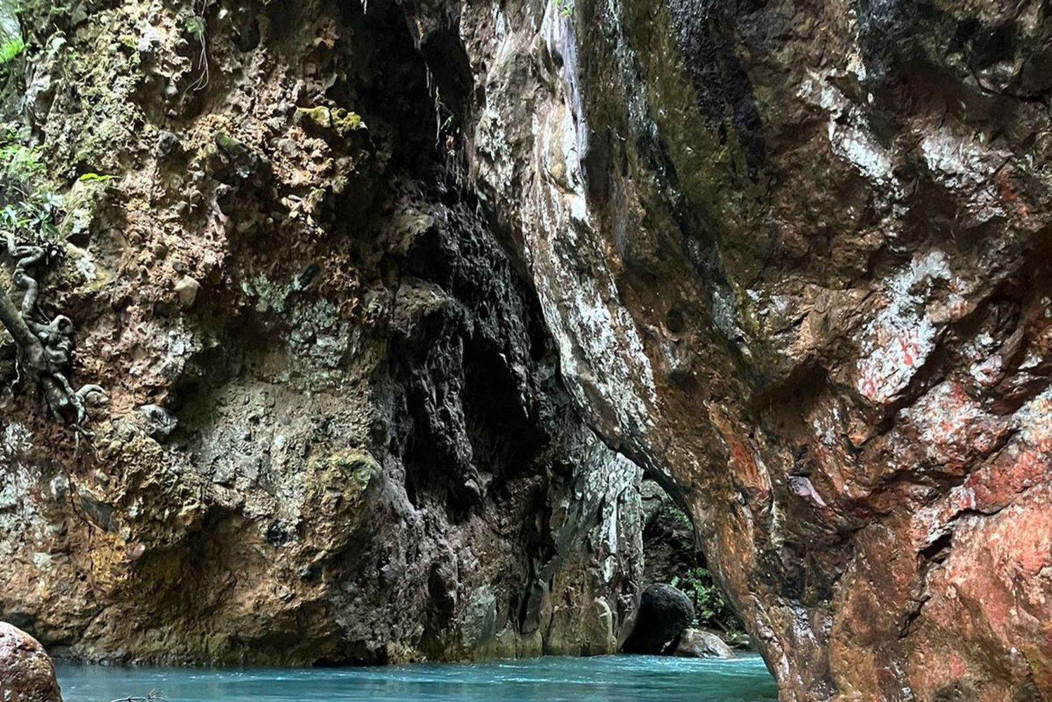 Rincon de la Vieja: Wodospad La Leona Wycieczka prywatna