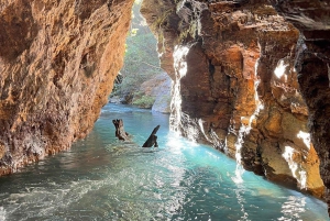 Rincon de la Vieja: Wodospad La Leona Wycieczka prywatna