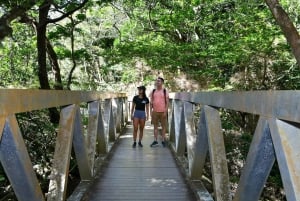 Rincón de la Vieja: Las Pailas trail + Oropendola