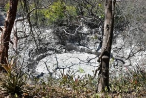 Rincón de la Vieja: Las Pailas trail + Oropendola