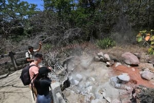 Rincón de la Vieja: Las Pailas trail + Oropendola