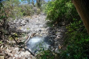 Rincón de la Vieja: Las Pailas trail + Oropendola