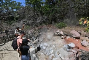 Rincón de la Vieja: Las Pailasin polku + Oropendola