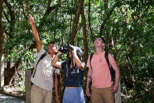 Rincón de la Vieja National Park: Las Pailas trail