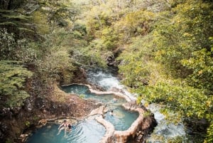 Rincón de la Vieja: One-Day Nature Tour