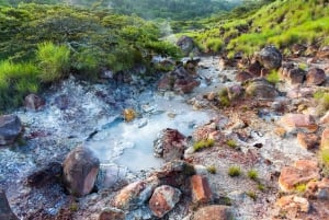 Rincón de la Vieja: One-Day Nature Tour