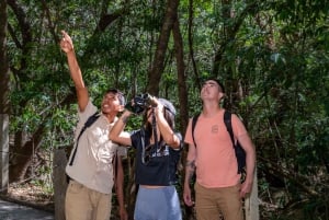 Rincón de la Vieja: One-Day Nature Tour