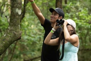 Rincón de la Vieja: One-Day Nature Tour