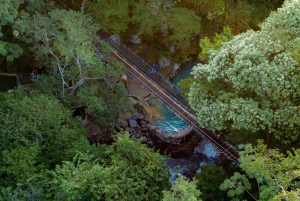 Rincón de la Vieja: One-Day Nature Tour