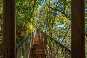 Rincón de la Vieja: Endags naturtur