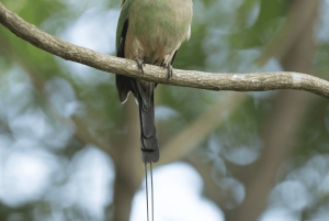 Rincón de la Vieja: Endags naturtur