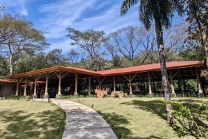 Rincón de la Vieja: Endags naturtur