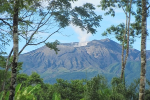 Rincon Vieja Volcano Zipline and Hot Springs Day Tour