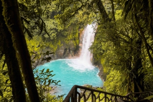 Rio Celeste, utforska regnskogen och det stora vattenfallet