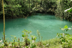 Rio Celeste, explore the rainforest and great waterfall