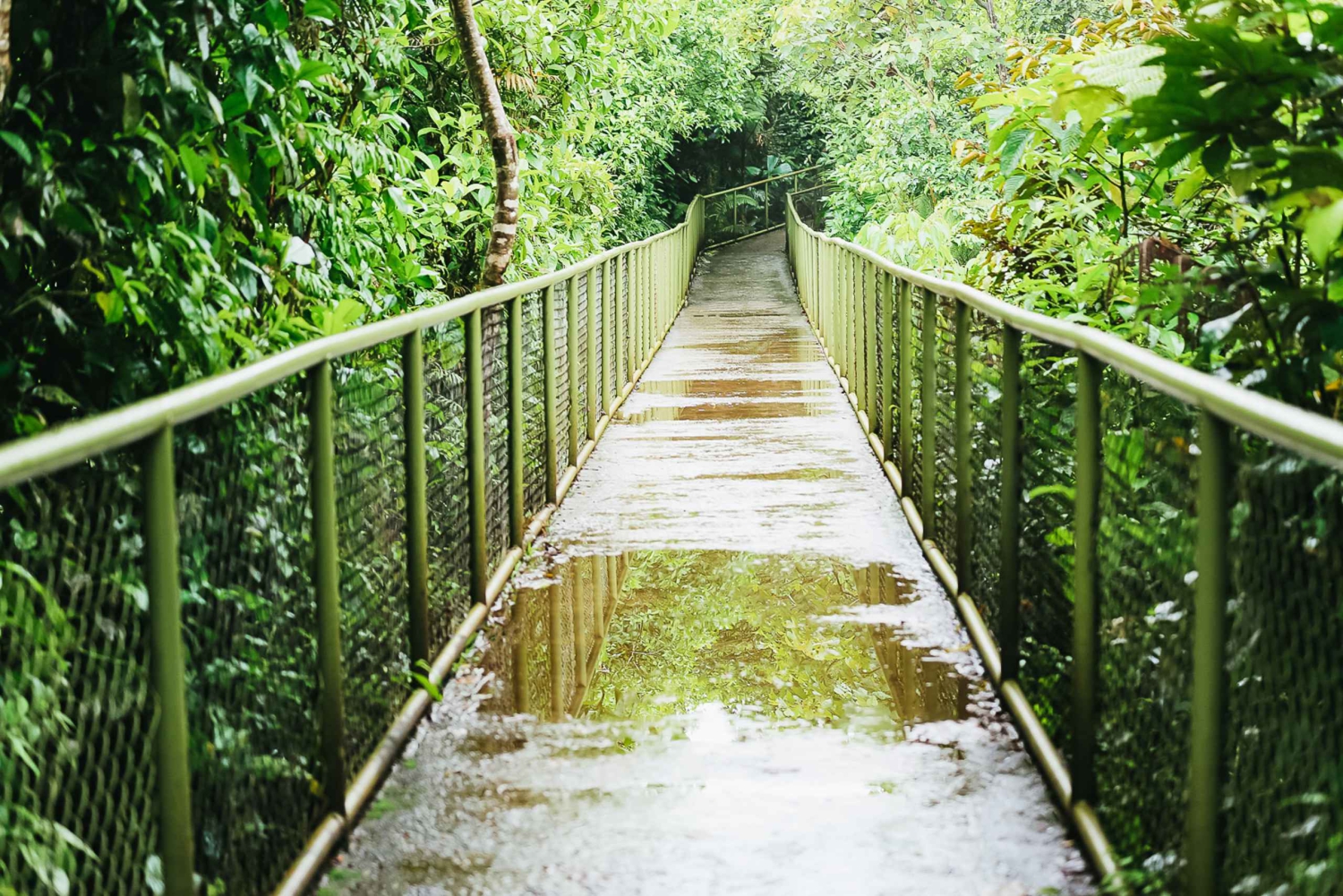 リオセレステ国立公園ハイキング