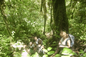 リオセレステ国立公園ハイキング