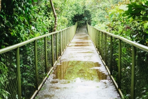 リオセレステ国立公園ハイキング