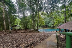 Rio Celeste: Natuurlijk zwembad in het bos