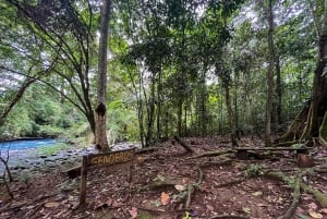 Rio Celeste: Natuurlijk zwembad in het bos