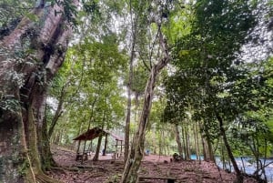Rio Celeste: Natuurlijk zwembad in het bos