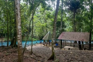 Rio Celeste: Natuurlijk zwembad in het bos