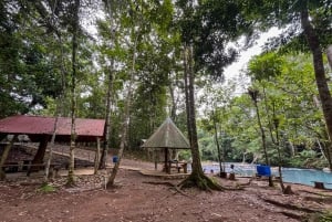 Rio Celeste: Natuurlijk zwembad in het bos