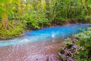 Rio Celeste Waterfall in Tenorio Volcano National Park