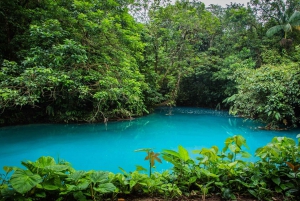 Rio Celeste Waterfall in Tenorio Volcano National Park