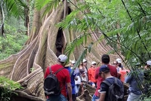 Rio Celeste -vesiputous: sademetsäretki ja laiskiaisten havainnointi