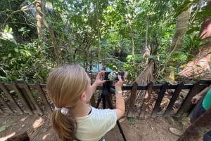 Rio Celeste -vesiputous: sademetsäretki ja laiskiaisten havainnointi