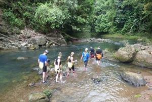 Rio Claro: Drijvende tocht met lunch in Drake Bay