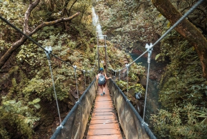 Terme di Rio Negro e cascata di Oropendola: combo e pranzo