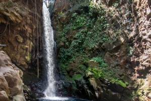 Terme di Rio Negro e cascata di Oropendola: combo e pranzo