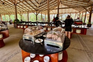 River Adventure Half Day: Tubing + Lunch + Hotsprings