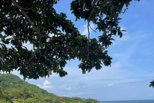 Samara: Tuk-tuk-oplevelse langs kysten