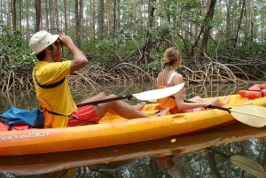 Samara: Mangrove Kayaking Adventure