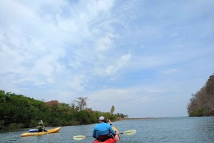 Samara: Mangrove Kayaking Adventure