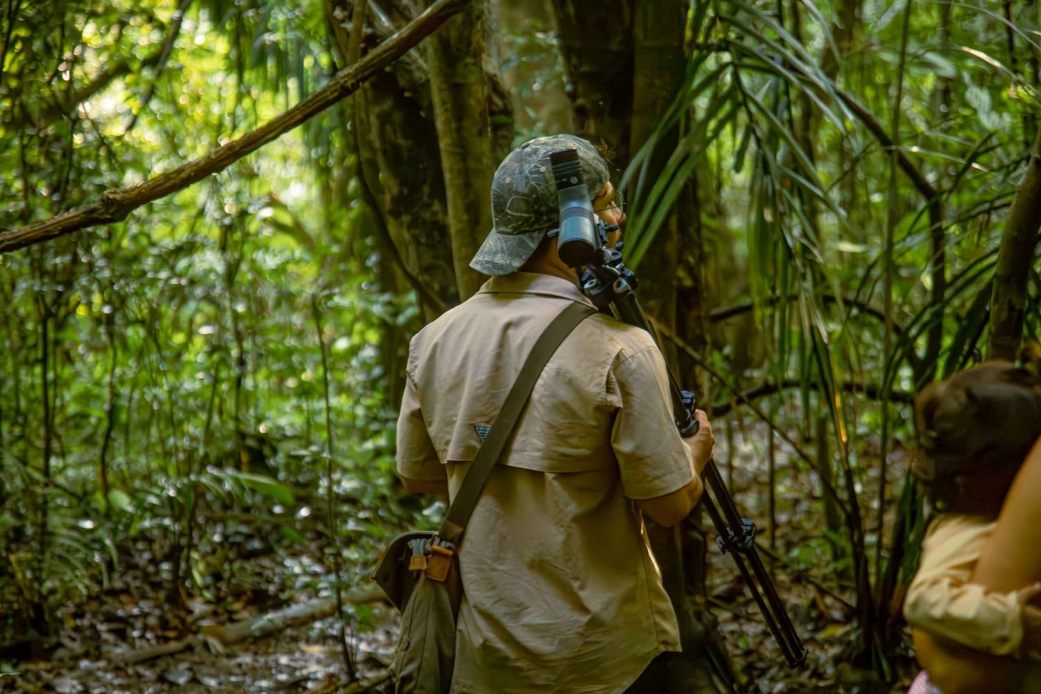 Samara: trilho pela floresta tropical seca e santuário de borboletas