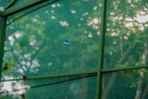 Samara: trilho pela floresta tropical seca e santuário de borboletas