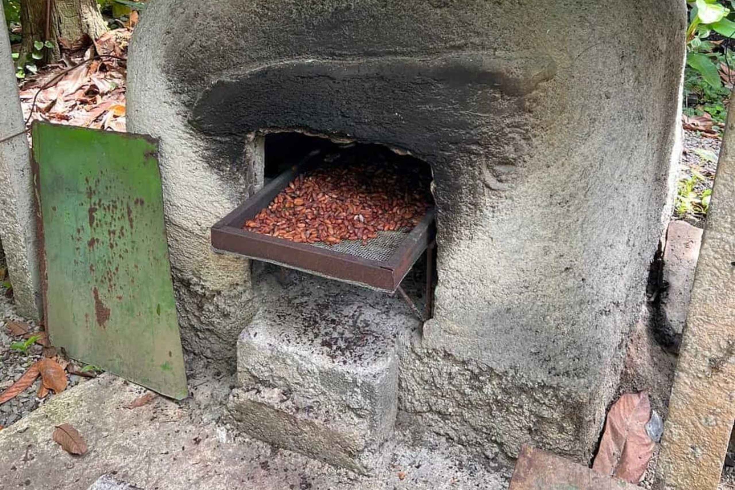 San Carlos: Don Olivossa: Suklaanvalmistuksen taito -kierros