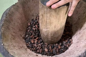 San Carlos: The Art of Chocolate Making Tour at Don Olivo